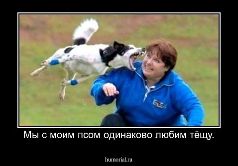 Мы с моим псом одинаково любим тёщу.