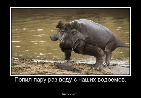 Попил пару раз воду с наших водоемов.