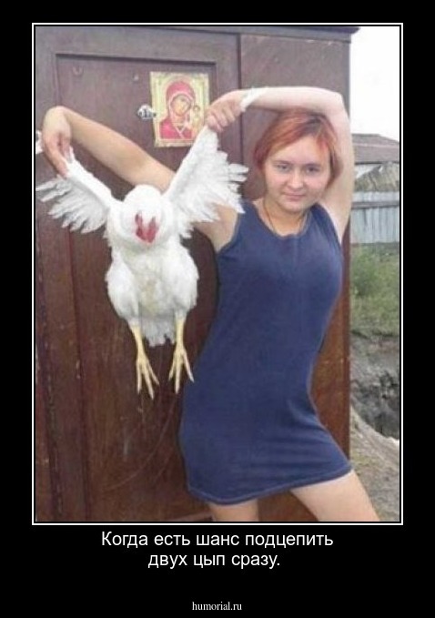 Когда есть шанс подцепить двух цып сразу.