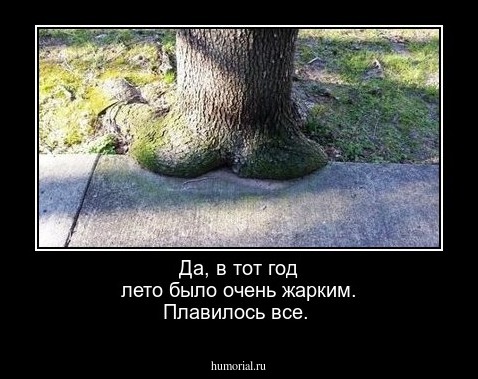 Да, в тот год лето было очень жарким. Плавилось все.