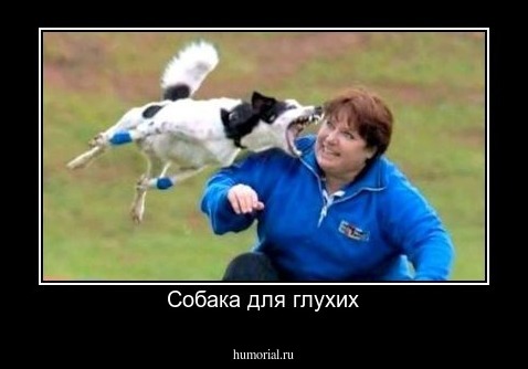 Собака для глухих