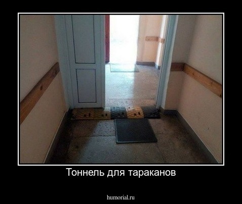 Тоннель для тараканов