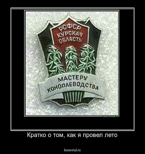 Кратко о том, как я провел лето