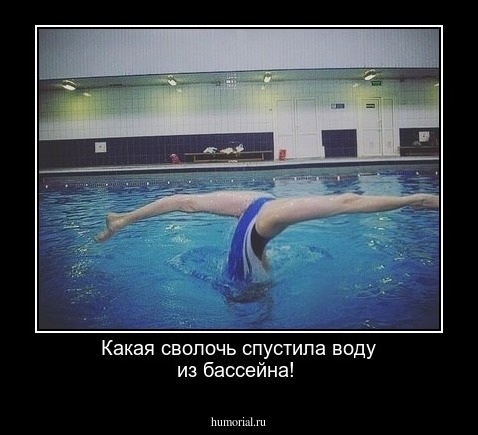 Какая сволочь спустила воду из бассейна!  