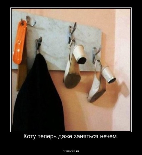 Коту теперь даже заняться нечем.