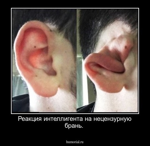 Реакция интеллигента на нецензурную брань.