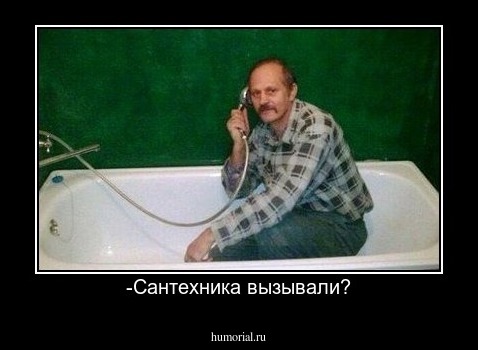 -Сантехника вызывали?