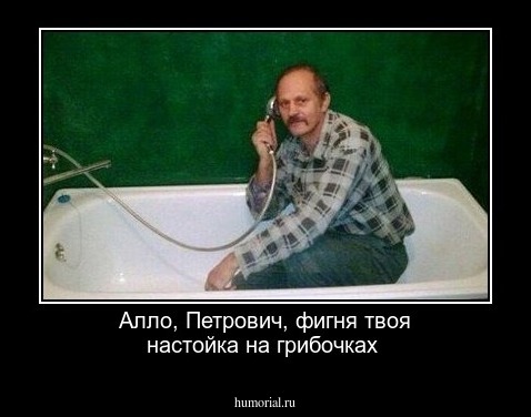 Алло, Петрович, фигня твоя настойка на грибочках