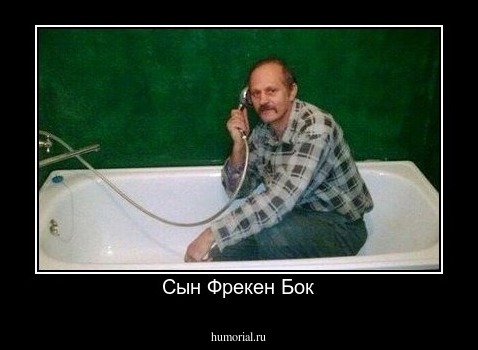 Сын Фрекен Бок
