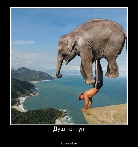Душ топтун