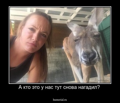 А кто это у нас тут снова нагадил? 