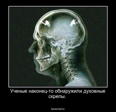 Ученые наконец-то обнаружили духовные скрепы.