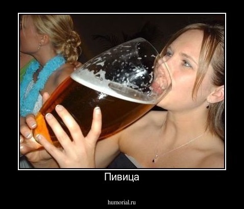 Пивица