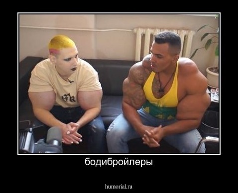 бодибройлеры