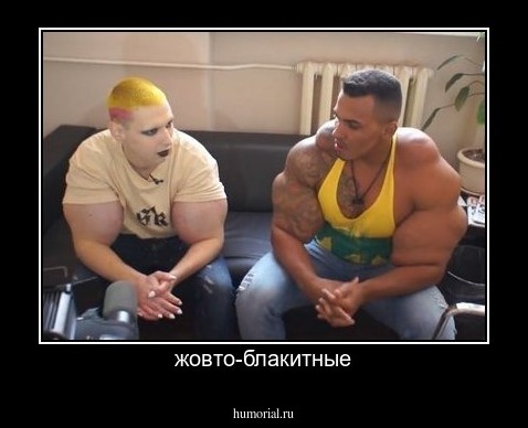 жовто-блакитные