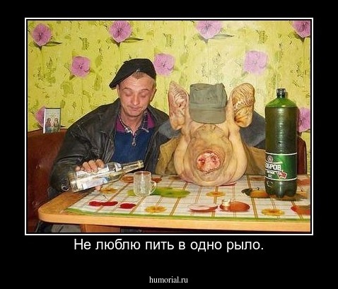 Не люблю пить в одно рыло.