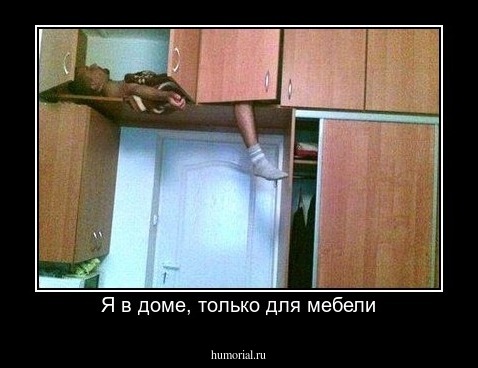 Я в доме, только для мебели