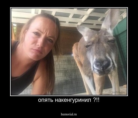 опять накенгуринил ?!!