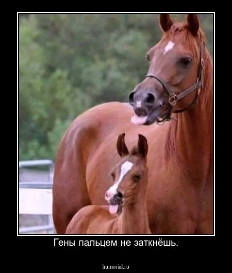 Гены пальцем не заткнёшь.