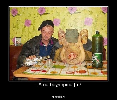 - А на брудершафт?