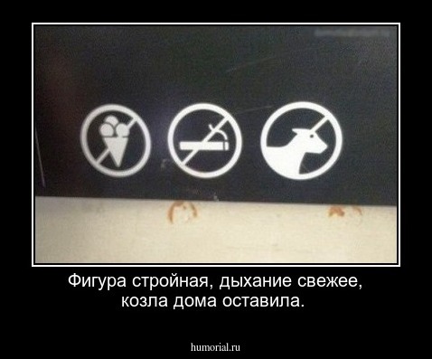 Фигура стройная, дыхание свежее, козла дома оставила.