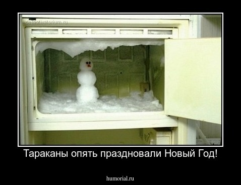 Тараканы опять праздновали Новый Год!