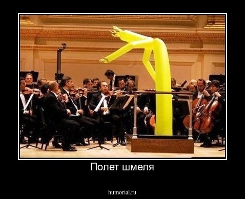 Полет шмеля