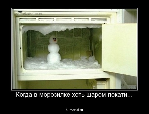 Когда в морозилке хоть шаром покати...