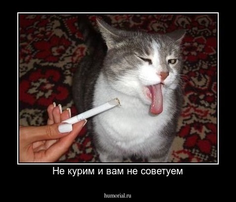 Не курим и вам не советуем