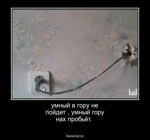 умный в гору не пойдет , умный гору нах пробьёт.