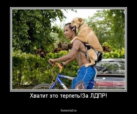 Хватит это терпеть!За ЛДПР!