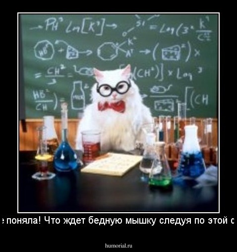 Я че то не поняла! Что ждет бедную мышку следуя по этой формуле?!