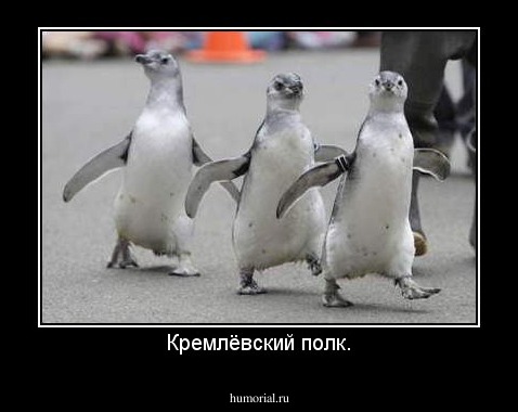 Кремлёвский полк.