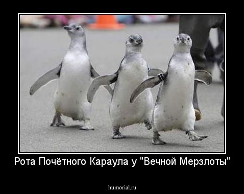 Рота Почётного Караула у "Вечной Мерзлоты"