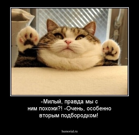 -Милый, правда мы с ним похожи?!
-Очень, особенно вторым подбородком!