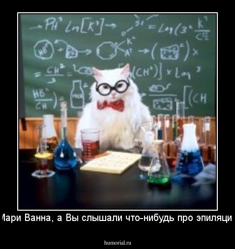 - Мари Ванна, а Вы слышали что-нибудь про эпиляцию?