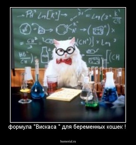 формула "Вискаса " для беременных кошек ! 
