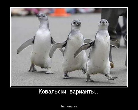 Ковальски, варианты...