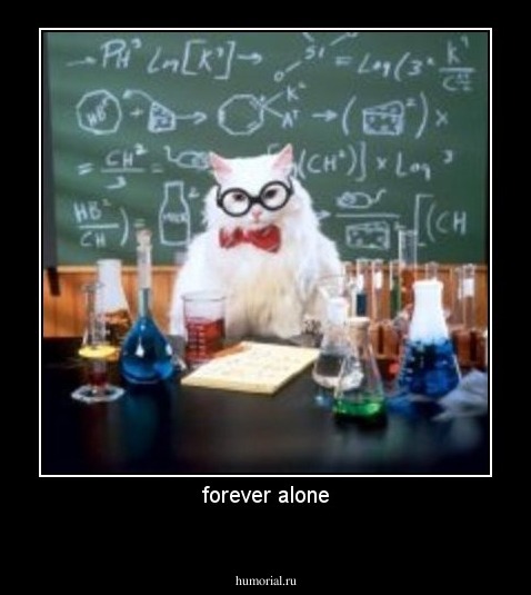 forever alone
