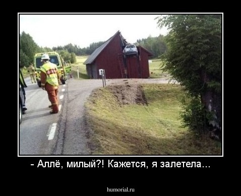 - Аллё, милый?! Кажется, я залетела...