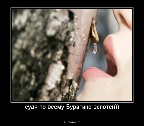 судя по всему Буратино вспотел))