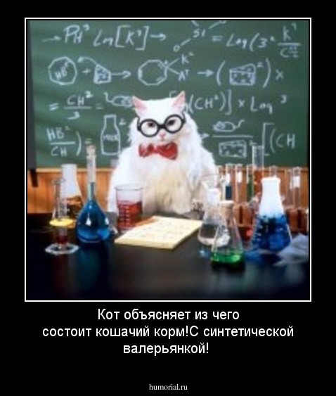 Кот объясняет из чего состоит кошачий корм!С синтетической валерьянкой!