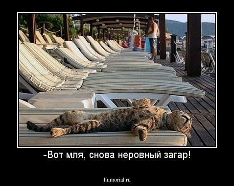 -Вот мля, снова неровный загар!