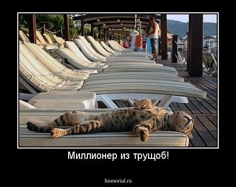 Миллионер из трущоб!