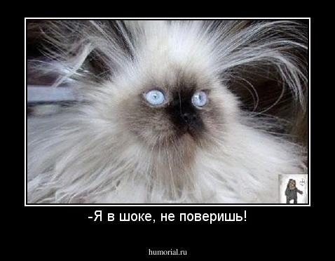 -Я в шоке, не поверишь!