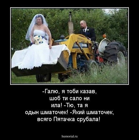 -Галю, я тоби казав, шоб ти сало ни ила! 
-Тю, та я одын шматочек! 
-Який шматочек, всяго Пятачка срубала!  