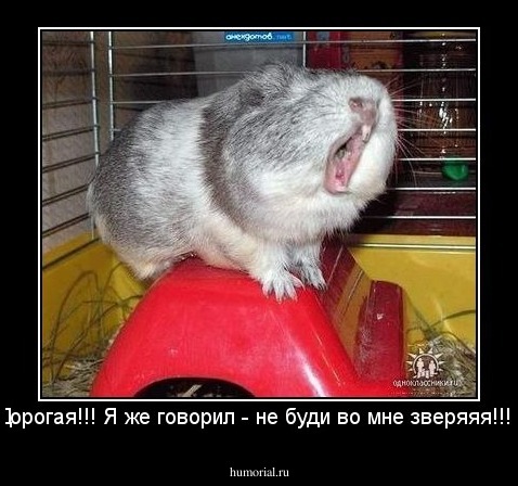 -Дорогая!!! Я же говорил - не буди во мне зверяяя!!!!  