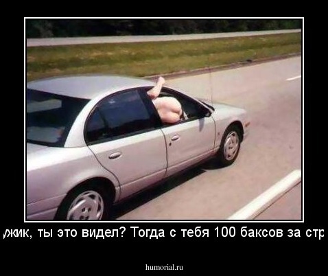 -Эй, мужик, ты это видел? Тогда с тебя 100 баксов за стриптиз! 