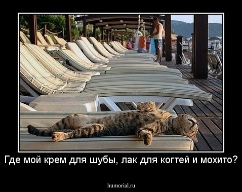 Где мой крем для шубы, лак для когтей и мохито?