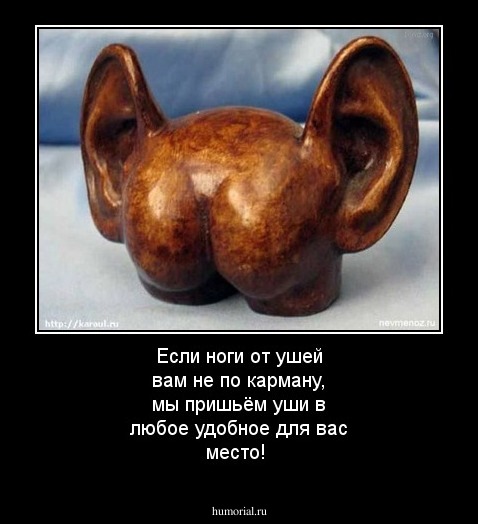 Если ноги от ушей вам не по карману, мы пришьём уши в любое удобное для вас место!
